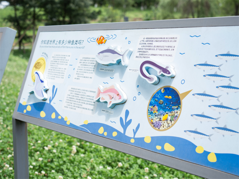 知识公园标牌 (1)